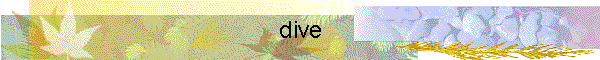 dive