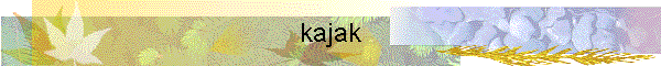 kajak