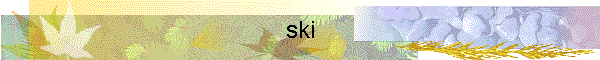 ski